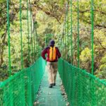 Puntarenas Shore Excursion: Rainforest Skywalk & Tarcoles River - Who Should Consider This Trip?