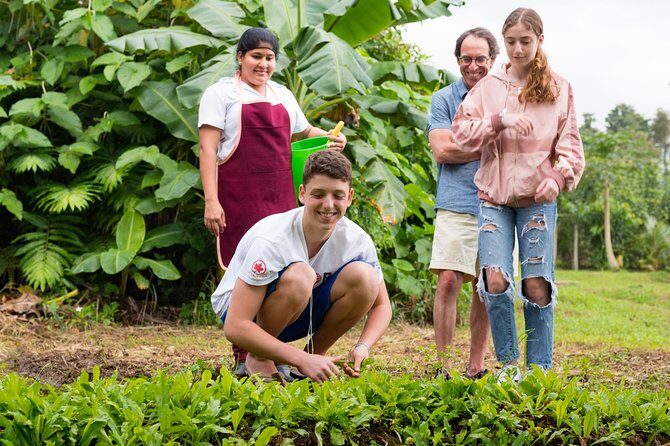 Pura Vida Cooking Class in La Fortuna (From farm to table) - Authenticity and Reviews