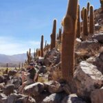 Purilibre Trekking - What Travelers Say