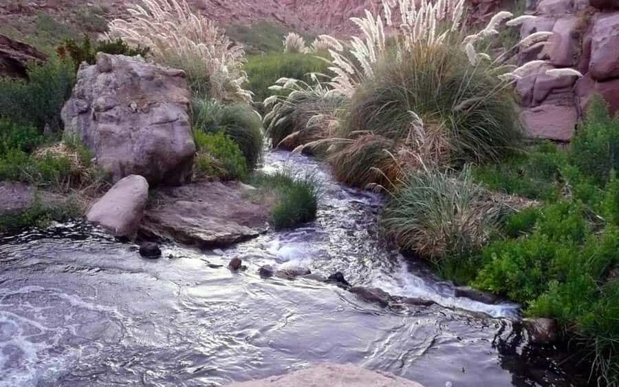 Purilibre: Trekking with Ancient Cacti and Medicinal Waters - Itinerary Breakdown and Highlights