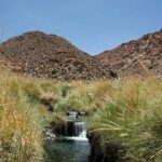 Puritama Hot Springs Tour with Tickets - A Closer Look at the Puritama Hot Springs Tour