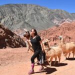 Purmamarca Walk with Llamas - Who Should Book This Tour?