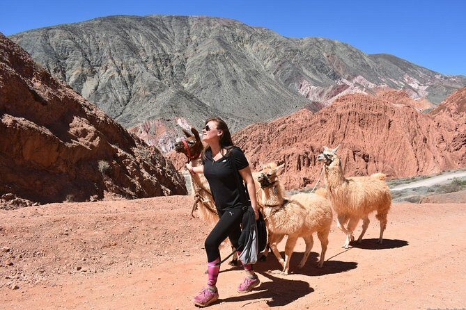 Purmamarca Walk with Llamas - Who Should Book This Tour?