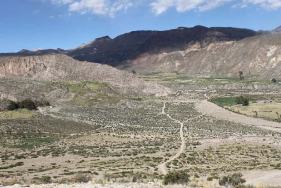 Putre: Trekking Cerro Surunche with Andean Rituals - An in-depth look at the Cerro Surunche trek