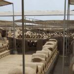 Pyramids of the Sun and the Moon, Huanchaco and Chan Chan - Who Is This Tour Best For?