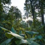 Quetzal Quest Birdwatching Adventure at Rey Tepepul Lookout - What Travelers Say About This Tour