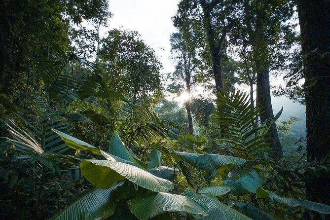 Quetzal Quest Birdwatching Adventure at Rey Tepepul Lookout - What Travelers Say About This Tour
