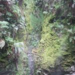 Quetzaltenango and Fuentes Georginas Hot Springs from Panajachel - In-Depth Review of the Tour Experience