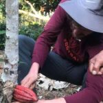 Quillabamba 2 Day Cocoa Private Trip - The Charm of Quillabamba