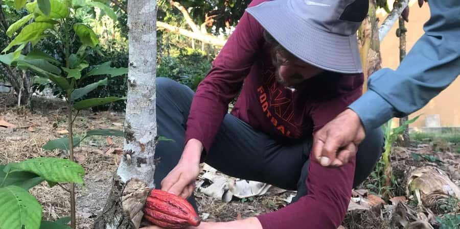 Quillabamba 2 Day Cocoa Private Trip - The Charm of Quillabamba