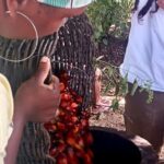 Quilombo Heritage Private Tour - A Well-Planned Itinerary That Balances History, Culture, and Community