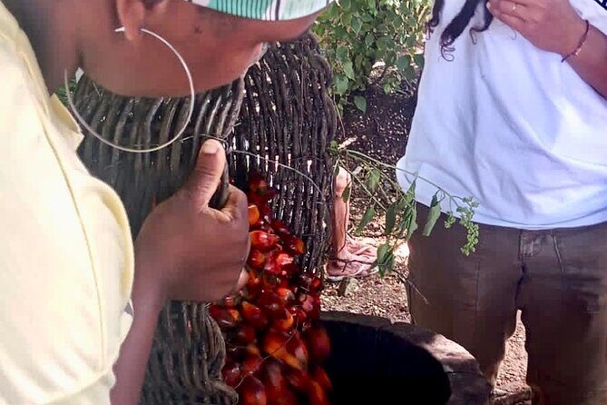 Quilombo Heritage Private Tour - A Well-Planned Itinerary That Balances History, Culture, and Community