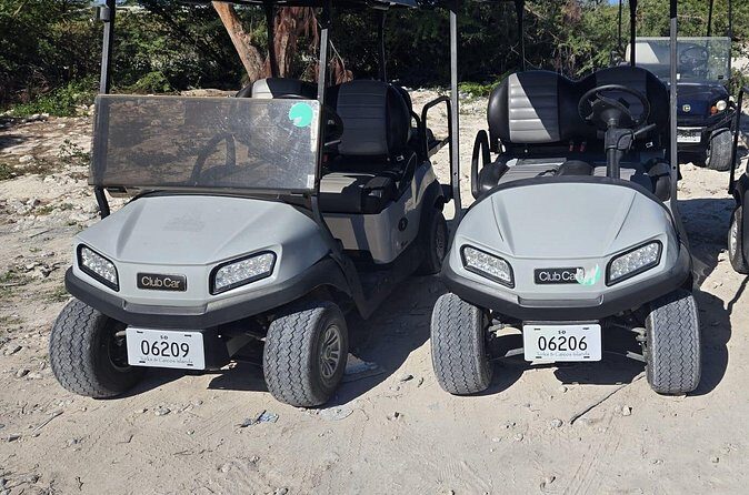 R & B Golf Cart and Car Rental - A Practical Guide to R & B Golf Cart and Car Rental