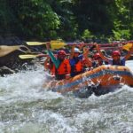 Rafting Costa Rica + Wildlife Safari Experience & Paradise Hot Springs - A Deep Dive into the Experience