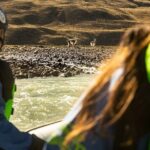 Rafting experience on the Rio de las Vueltas in Patagonia - Who Is This Tour Best For?