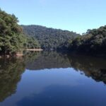 Rain Forest Trail Cantareira Natural Park from Sao Paulo - The Real Value of This Tour
