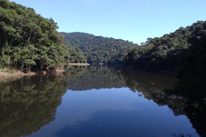 Rain Forest Trail Cantareira Natural Park from Sao Paulo - The Real Value of This Tour