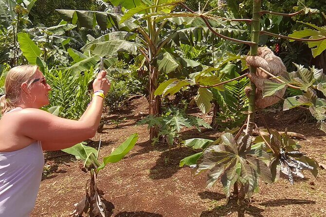 Rain forest, Wild life, Waterfall and Chocolate Private Tour - A Closer Look at the Tour Itinerary and Experience