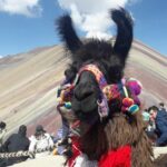 Rainbow Mountain Tour in Quad Bike (1-Day) - Practical Details and Tips