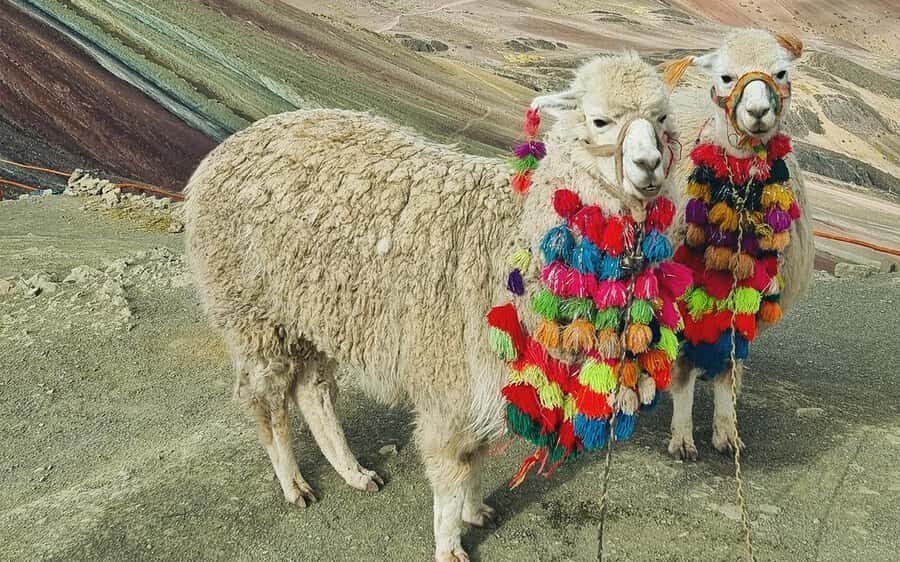 Rainbow Mountain Trek 1 Day - Detailed Breakdown of the Tour