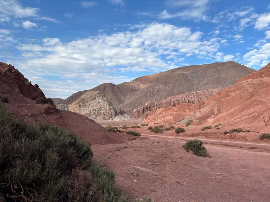 Rainbow Valley Tour + Petroglyphs (Yerbas Buenas) - A Detailed Look at the Rainbow Valley Tour