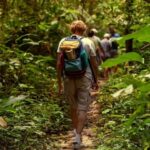 Rainforest Adventure - Why This Tour Works Well