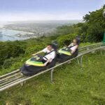 Rainforest Bobsled Mystic Mountain transportation - The Sum Up