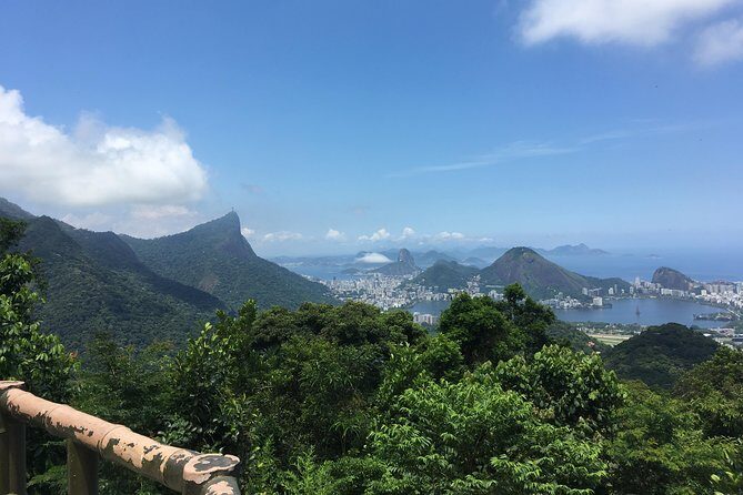Rainforest Hike in Rio: Tijuca Waterfalls, Wildlife & Caves - The Itinerary: An In-Depth Look