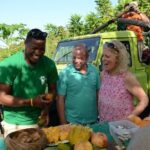 Rainforest Hike & Waterfall Safari St. Lucia From Castries - The Sum Up