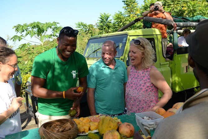 Rainforest Hike & Waterfall Safari St. Lucia From Castries - The Sum Up