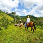 Rainforest Magic Horseback Riding Waterfall Tour Private Park Setting - The Waterfall Finale and Ranch Rest Stop