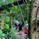 Rainforest River Nature Walk Adventure and Luquillo Beach - Authentic Experiences and Practical Tips
