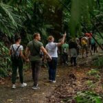 Rainforest Skywalk & Zipline Adventure Tour - Why This Tour Offers Great Value