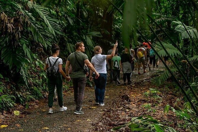 Rainforest Skywalk & Zipline Adventure Tour - Why This Tour Offers Great Value