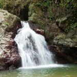 Rainforest Tour - Transportation, Price, and Group Size
