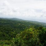 Rainforest Waterfall Adventure - Final Thoughts: Who Will Love This Tour?