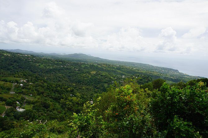 Rainforest Waterfall Adventure - Final Thoughts: Who Will Love This Tour?