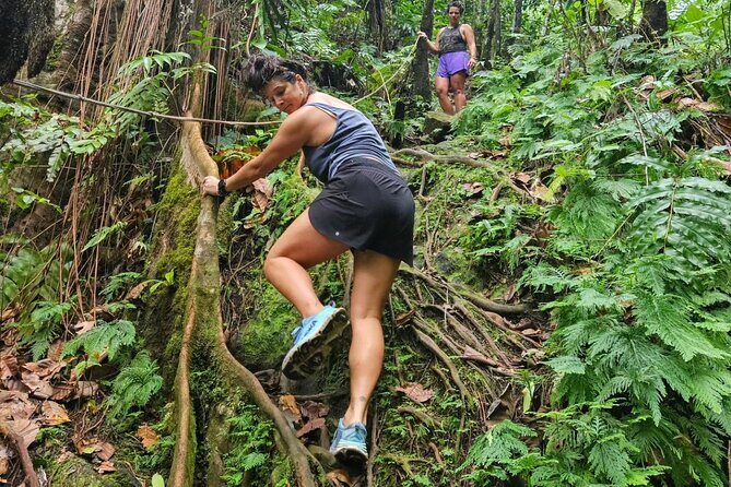 Rainforest Waterfall Hike with Rastafarian Nature Guide - An In-Depth Look at the Rainforest Waterfall Hike