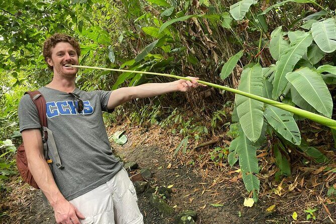 Rainforest Wildlife, Panama Hat makers, Traditional Cuisine. SHORE TOUR - The Full Experience: What You Can Expect