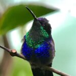 rainmaker tour - Price and Value Analysis