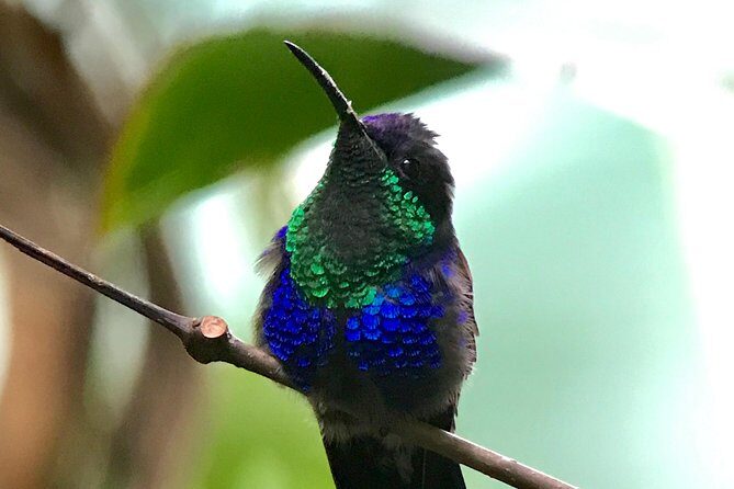 rainmaker tour - Price and Value Analysis