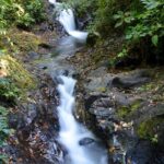 Rainmaker Waterfalls and Hanging Bridges from Manuel Antonio - The Sum Up