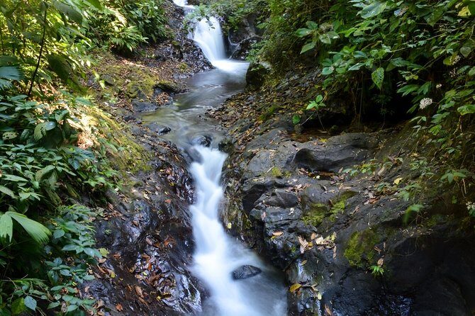 Rainmaker Waterfalls and Hanging Bridges from Manuel Antonio - The Sum Up