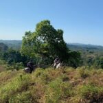 Rancho Típico Don Juan, Horseback Riding tour - Why This Tour Offers Great Value