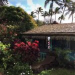 Rapa Nui: Polynesian Massage - A Full Breakdown of the Polynesian Massage Tour