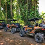 Rastafari Cultural ATV Community Experience from Montego Bay - Who Should Consider This Tour?