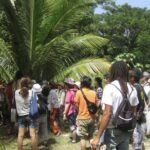 Rastafari Indigenous Village Tour - Final Thoughts: Is It Worth It?