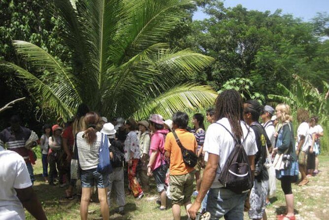 Rastafari Indigenous Village Tour - Final Thoughts: Is It Worth It?