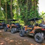 Rastasafari Experience ATV Adventure and Local Day Out - The Experience in Detail
