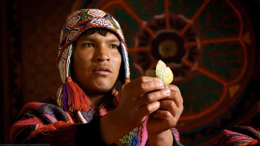 Reading coca leaves: Ancestral Inca Ceremony - FAQ